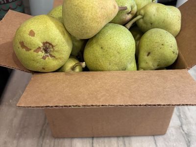 Small box of organic bartlett pears