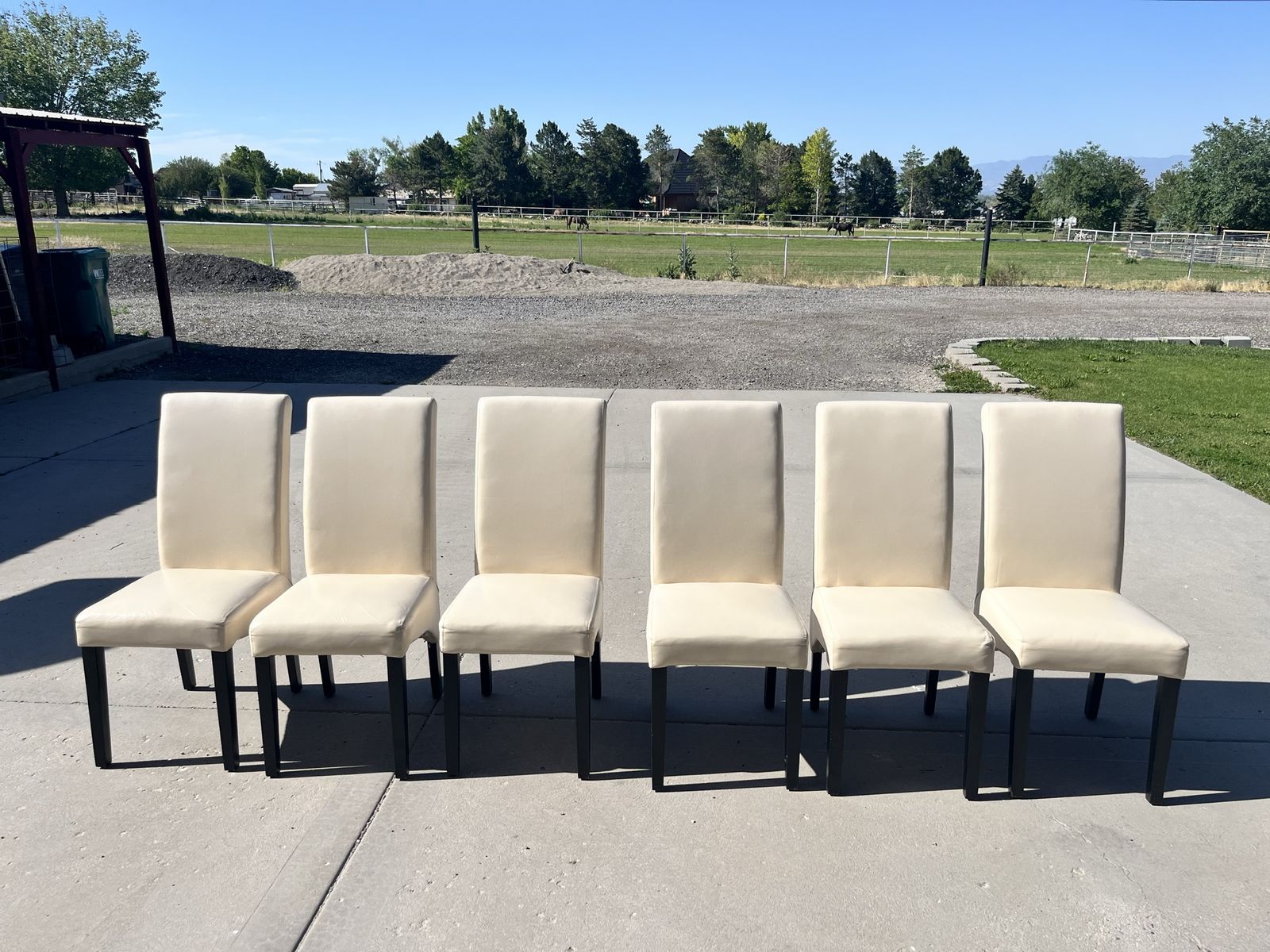 Set of 6 Cream Leather Dining Chairs with Black Legs