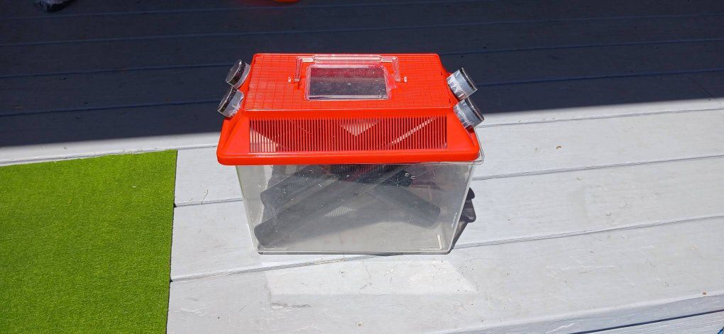 Main image 8