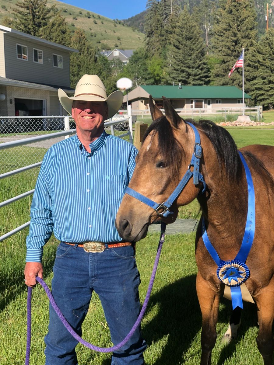 9 Year Old Registered Buckskin Quarter Horse Mare