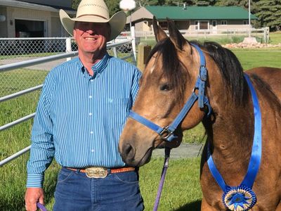 9 Year Old Registered Buckskin Quarter Horse Mare