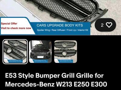 Mercedes Benz Grille