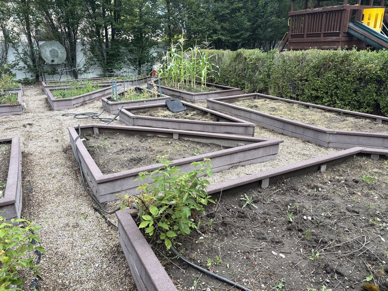 Trex garden boxes