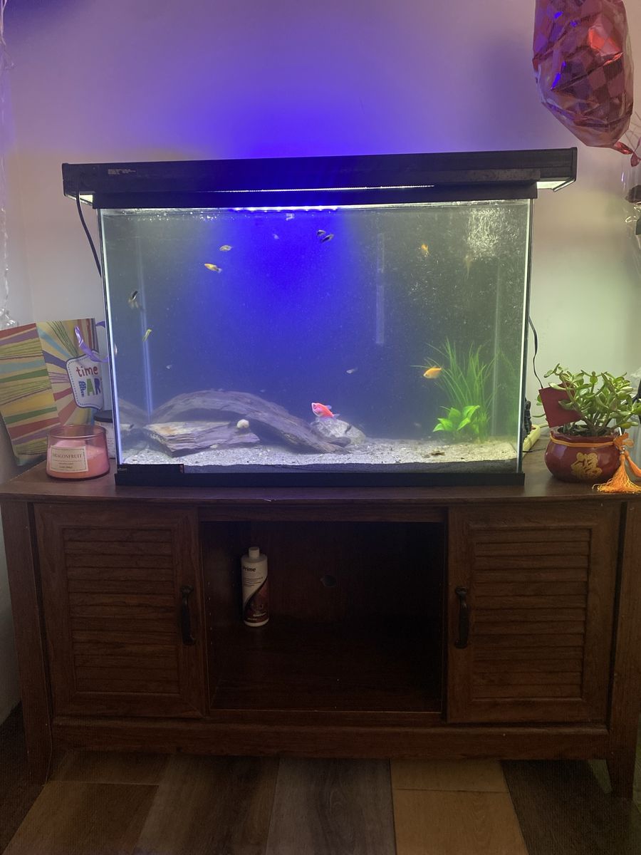 Fish Tank