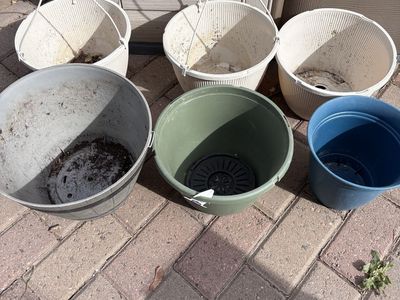 Planter pots $3 each