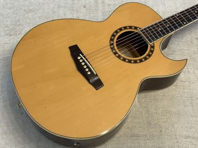 1999 Ibanez Acoustic Electric Guitar