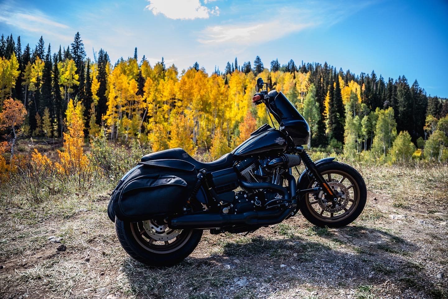 2016 Harley Davidson Dyna FXDLS 110ci