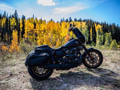 2016 Harley Davidson Dyna FXDLS 110ci