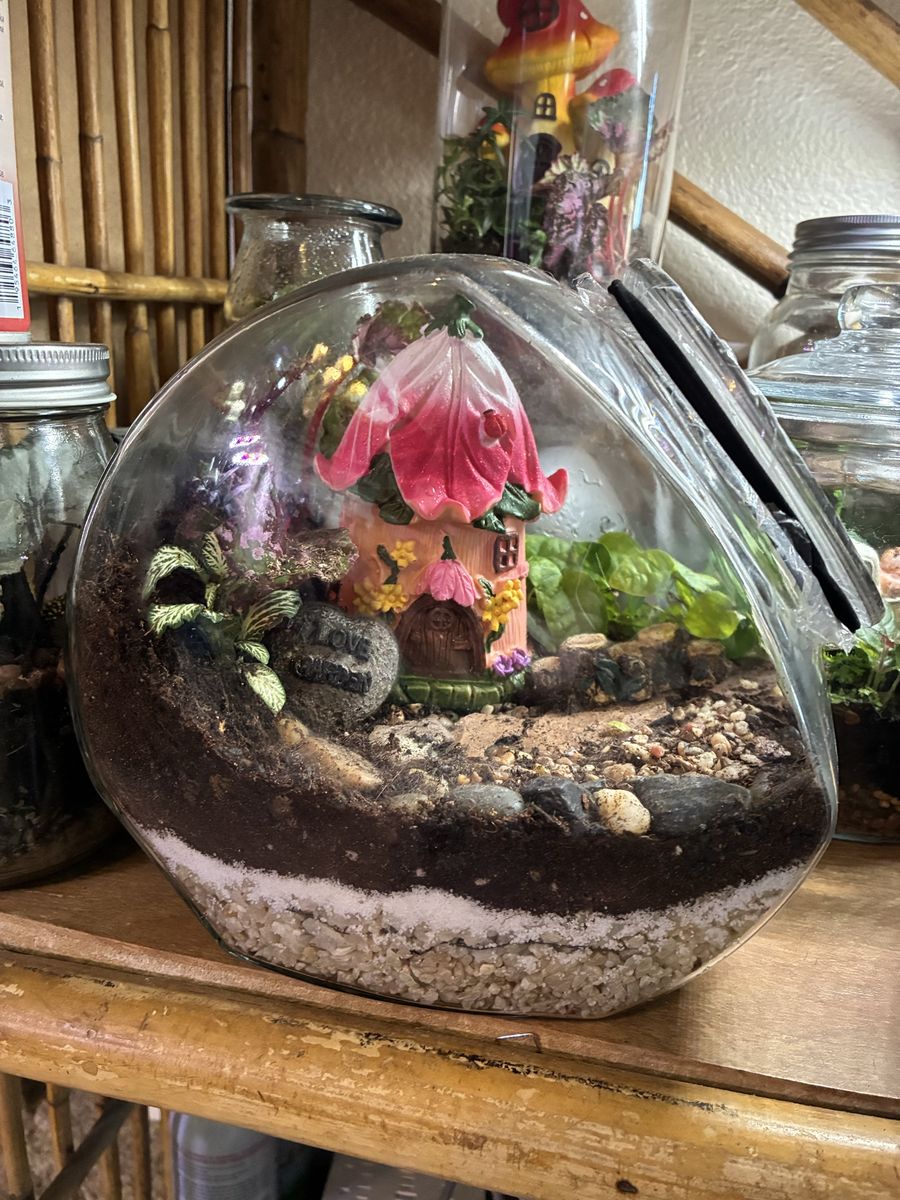 Passionfruit Lane Terrarium