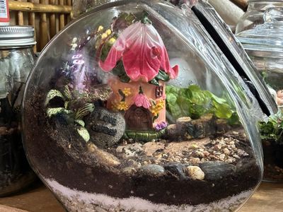 Passionfruit Lane Terrarium