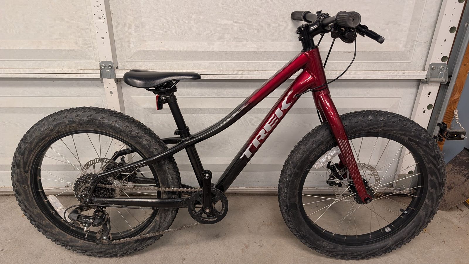 Trek Roscoe 20in.