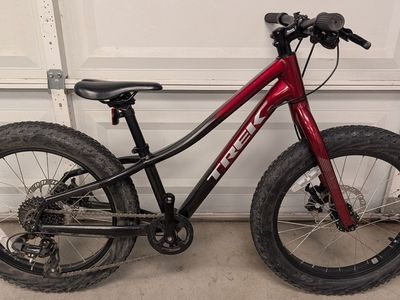 Trek Roscoe 20in.