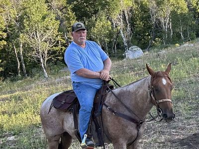 AQHA 5yr Old Red Roan Mare