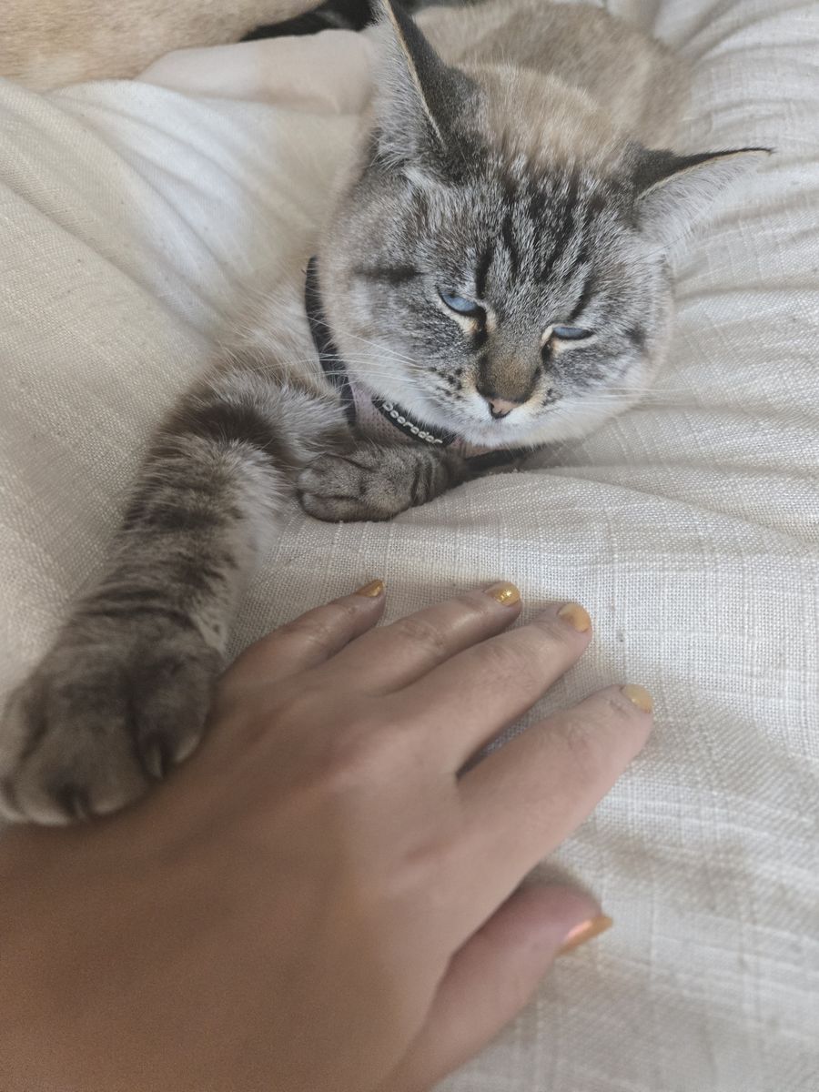 Main image 5