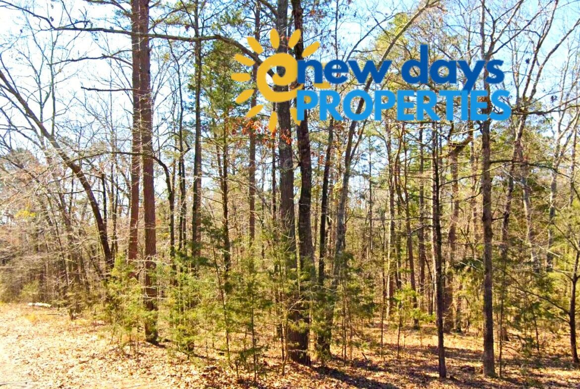 0.28 Acres cheap land for sale in Arkansas with Mountain View