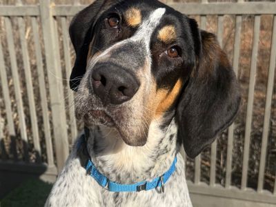 Hello my name is Gotham