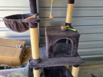Super tall cat tower!