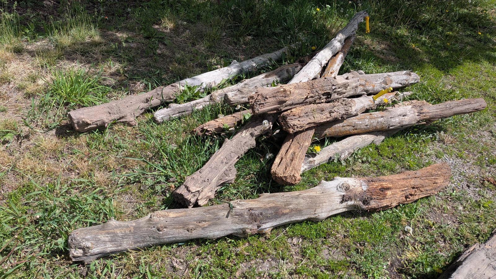 Cedar Posts (old)