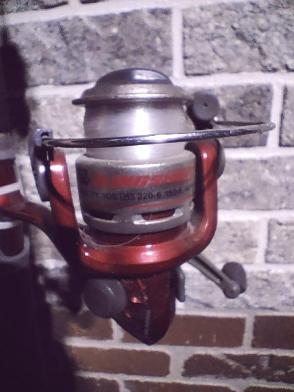 Main image 4