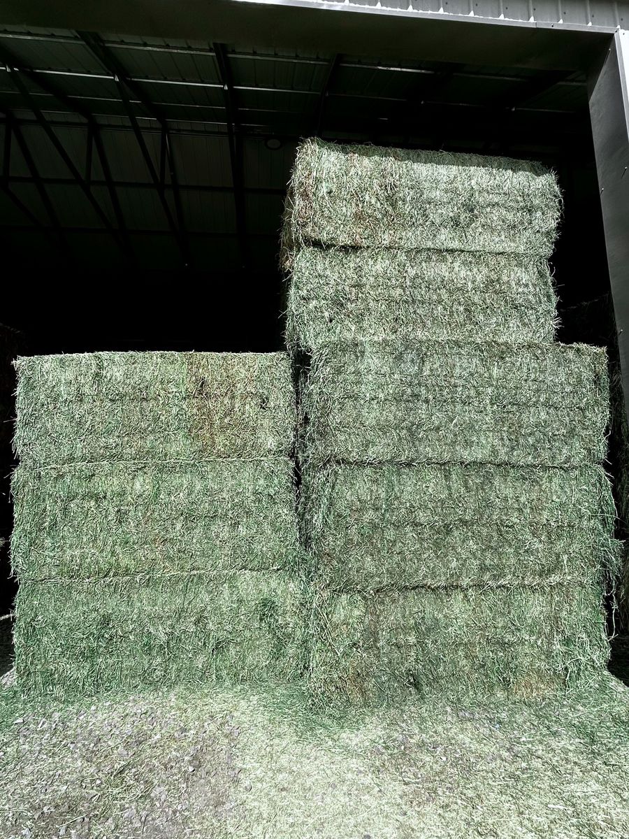 Quality Alfalfa-Grass Mix Hay - 3x3x8 Bales - Pickup or Delivery
