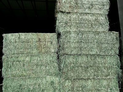 Quality Alfalfa-Grass Mix Hay - 3x3x8 Bales - Pickup or Delivery