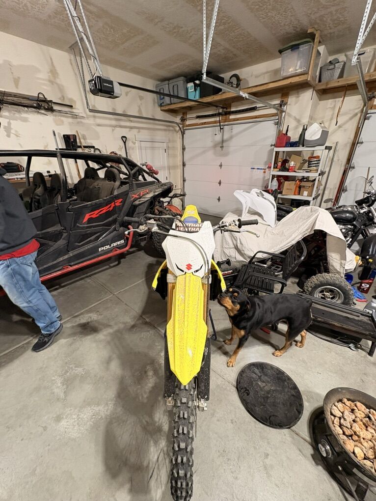 2025 Rmz-250