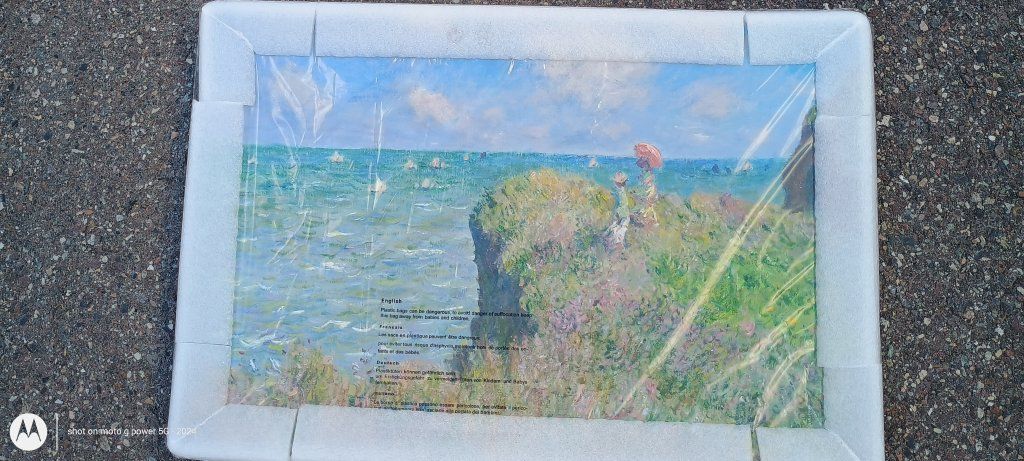 Claude Monet's famous Riverwalk canvas wall art