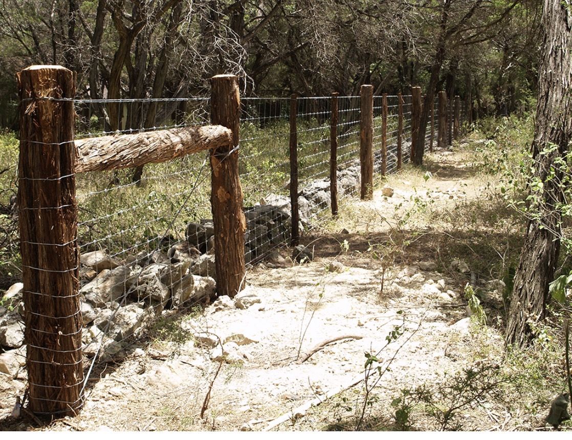 Cedar posts and fencing