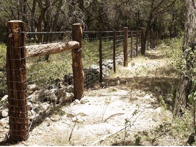 Cedar posts and fencing