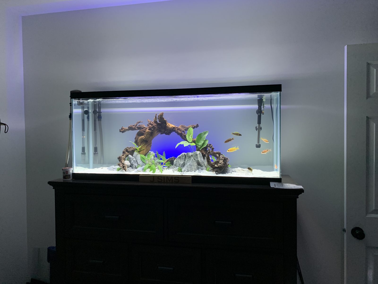 Aqueon Aquarium 60 gallon Fish Tank Kit with Filter, Heater, Light, Fish, and Decor- Complete Setup