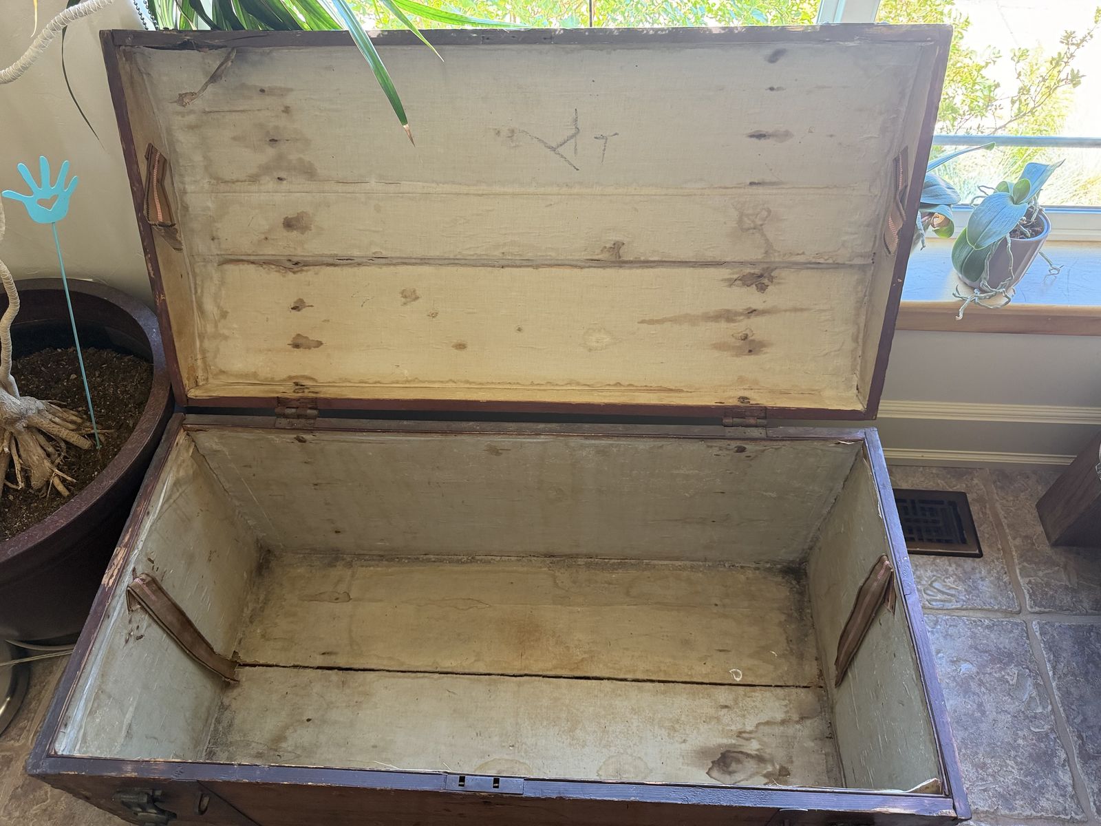 Main image 5