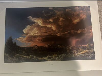 Signed Print By Artist. Last Light Peets