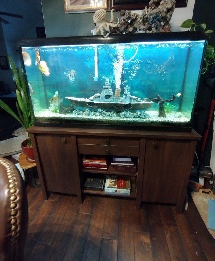 fish tank 55gal