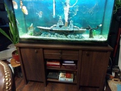 fish tank 55gal