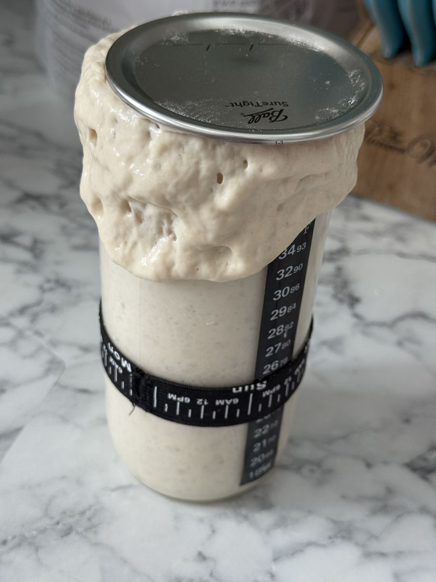 Active Sourdough Starter Ready to Bake