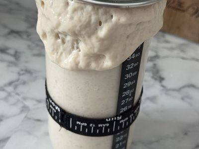 Active Sourdough Starter Ready to Bake