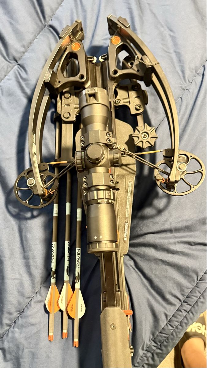 Main image 7