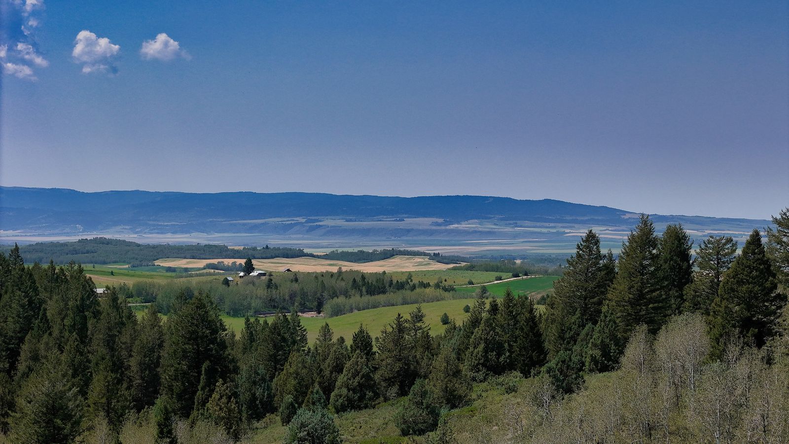 Main image 15