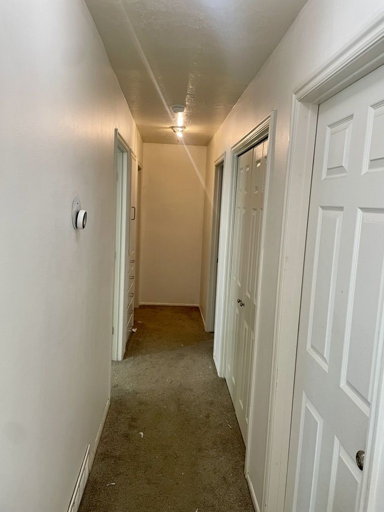 Main image 4