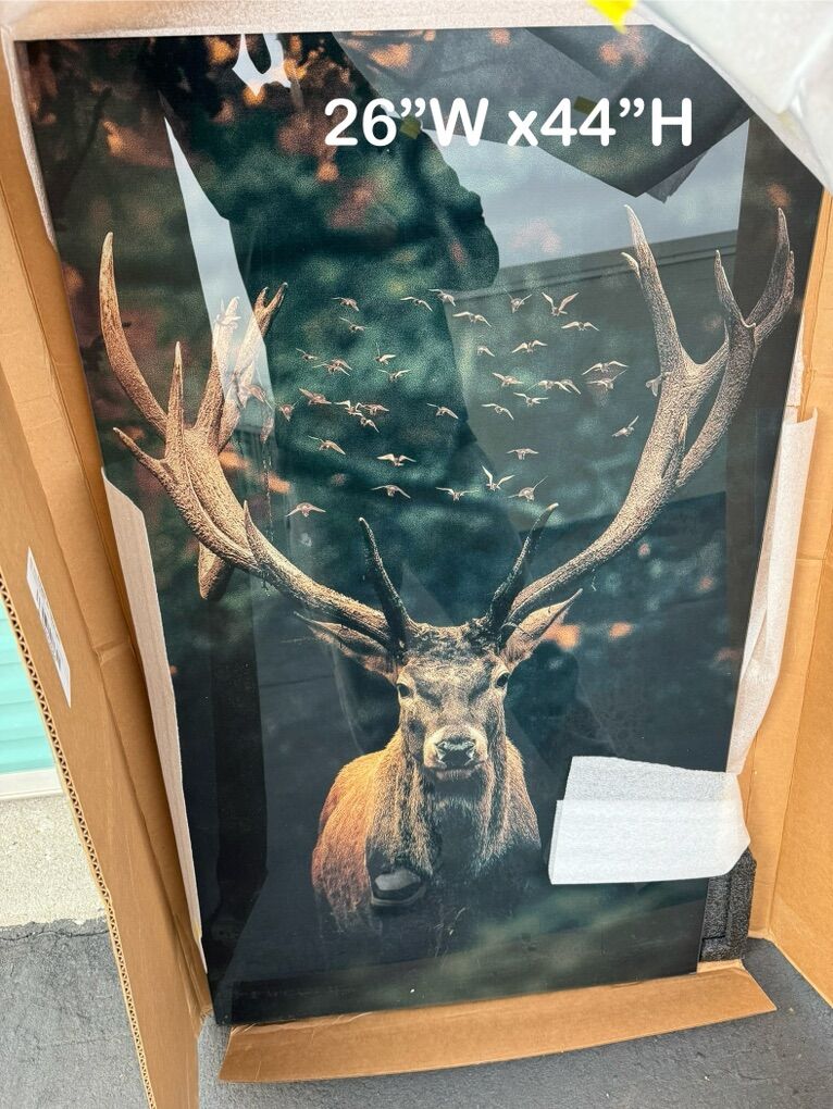Deer Gloss Finish Print 26x44