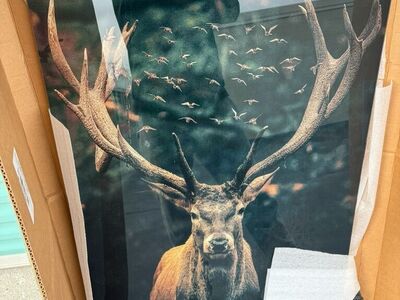 Deer Gloss Finish Print 26x44