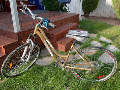 Infinity Twentyfour 7 Gold Bike