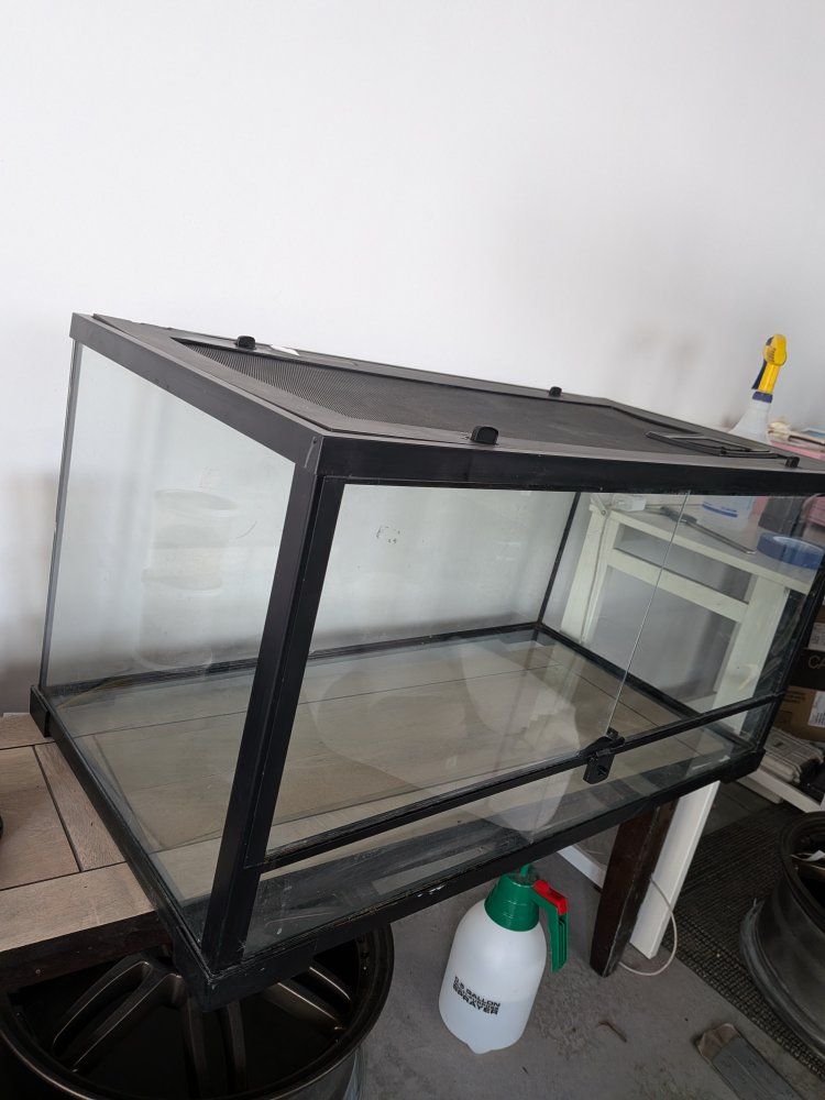 Large Glass Terrarium with Screen Top - Perfect for Reptiles or Small Animals