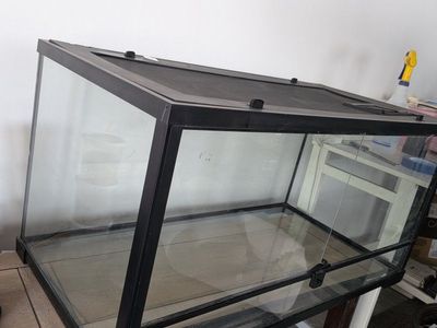 Large Glass Terrarium with Screen Top - Perfect for Reptiles or Small Animals