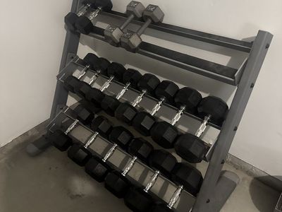 Dumbbells and rack