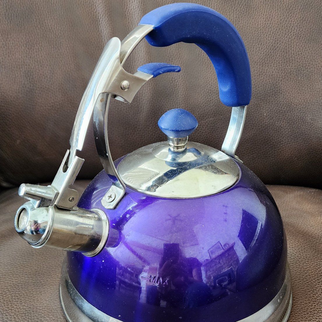 Whistling Tea Kettle, Stainless Steel,  with Handle and Spout Lever