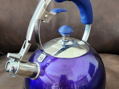 Whistling Tea Kettle, Stainless Steel, with Handle and Spout Lever