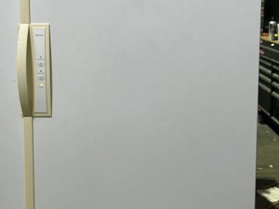 20 Cubic Foot Frost Free Freezer