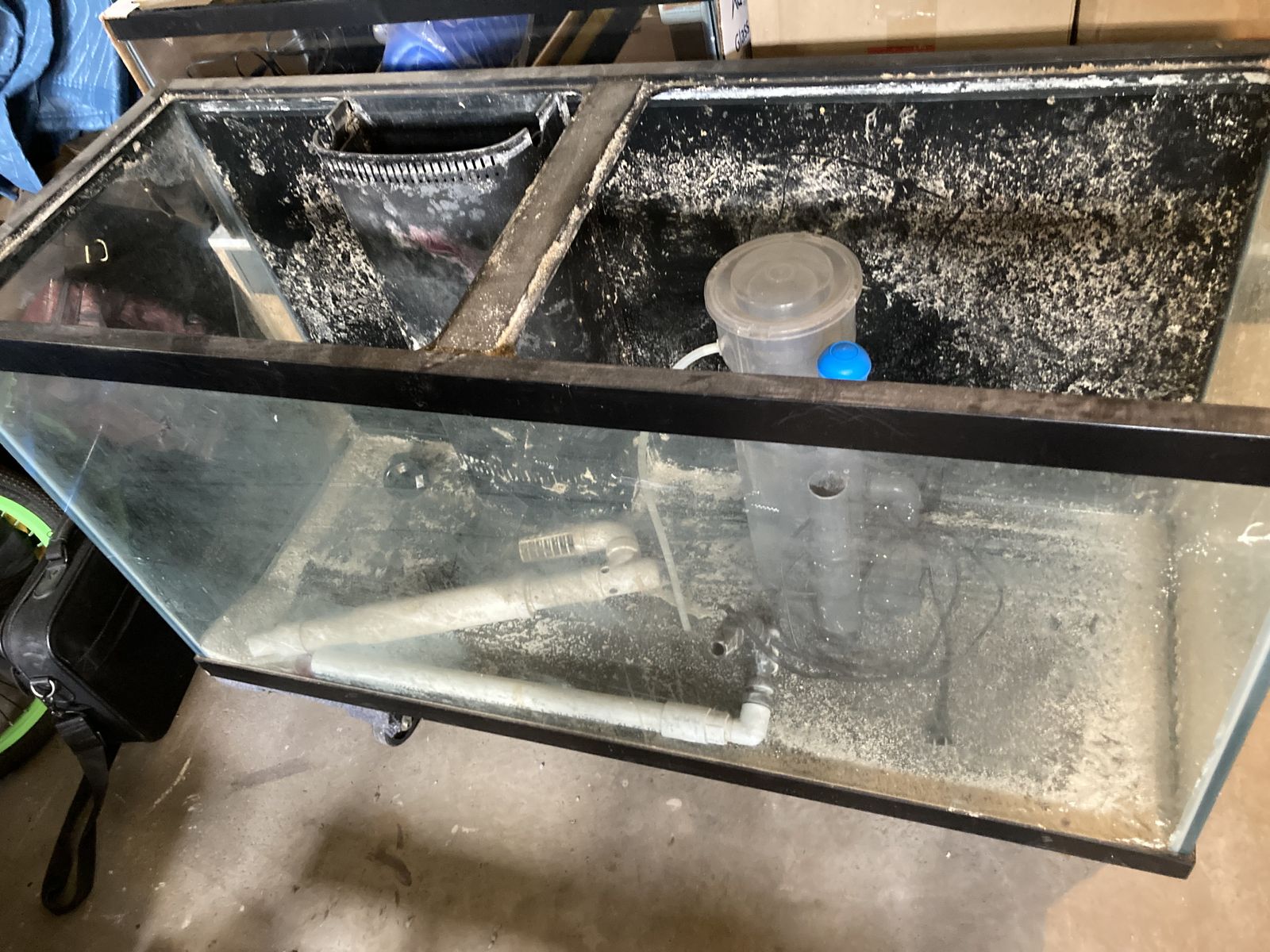 90 Gallon Fish Tank with overflow Live rock and Caribsea live sand