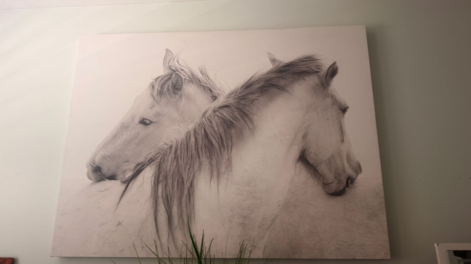 Large Black and White Horse Canvas Wall Art Print